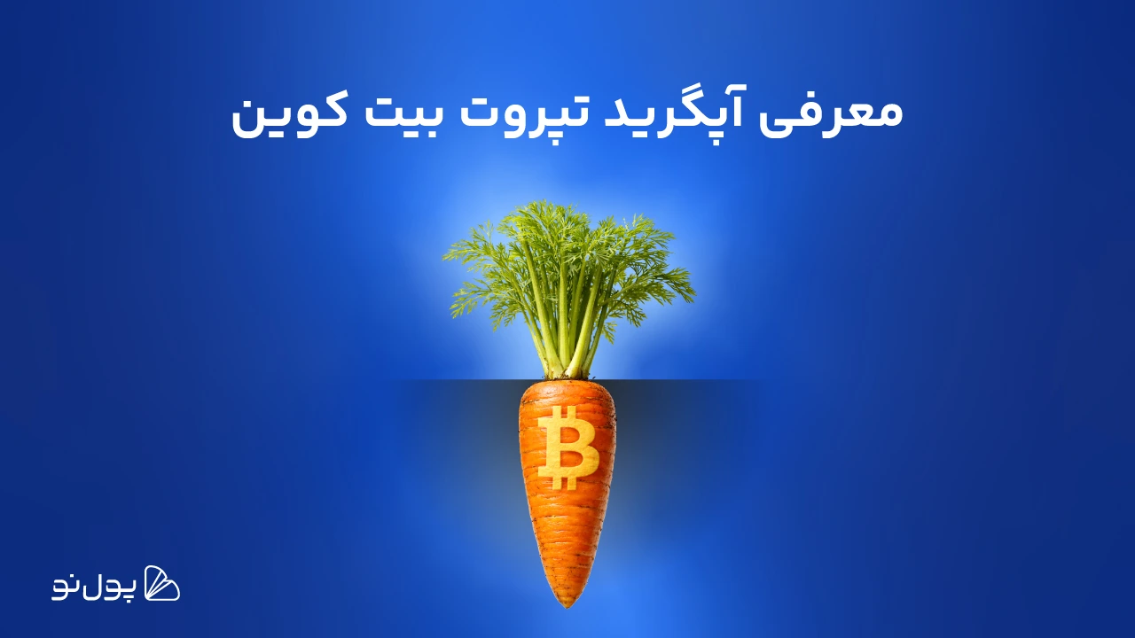 درباره تپروت آخرین آپگرید بیت کوین | Taproot چه تغییری ایجاد میکند؟