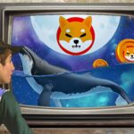 انباشت ۵۰ میلیاردی نهنگ عظیم شیبا در رقابت با رالی DOGE!