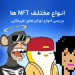 انواع مختلف NFT؛ نگاهی جامع به انواع توکن‌های غیر مثلی