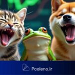 این ۴ میمکوین سقف تاریخی زدند!