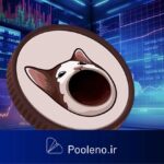 افت شدید قیمت میمکوین POPCAT سولانا؛ مراقب باشید!